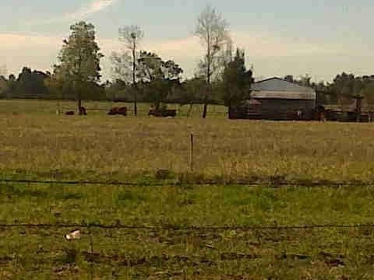  Land in Biobio, Chile No. 842