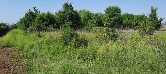 Terrain à Cortemaggiore, Italy 10000m² No. 293311 2