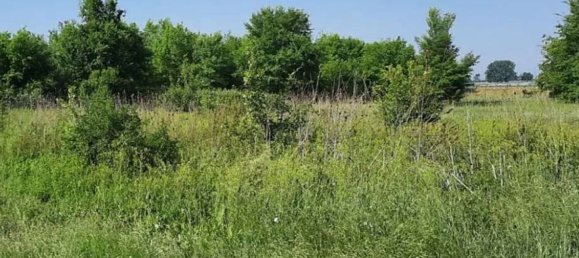 Terrain à Cortemaggiore, Italy 10000m² No. 293311 5