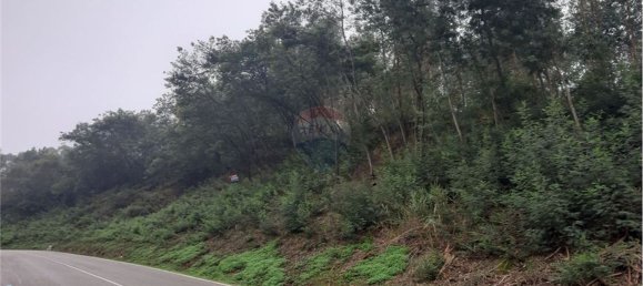  قطعة أرض في Cernache, Portugal 6375متر مربع رقم 57693 4