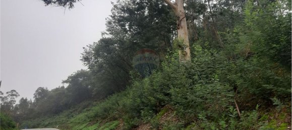  قطعة أرض في Cernache, Portugal 6375متر مربع رقم 57693 2