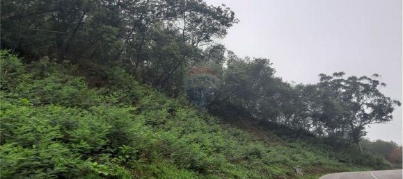  قطعة أرض في Cernache, Portugal 6375متر مربع رقم 57693 3