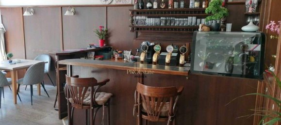 4-Zimmer Gewerbliche Immobilie in Steyr, Austria, Nr. 134693 3