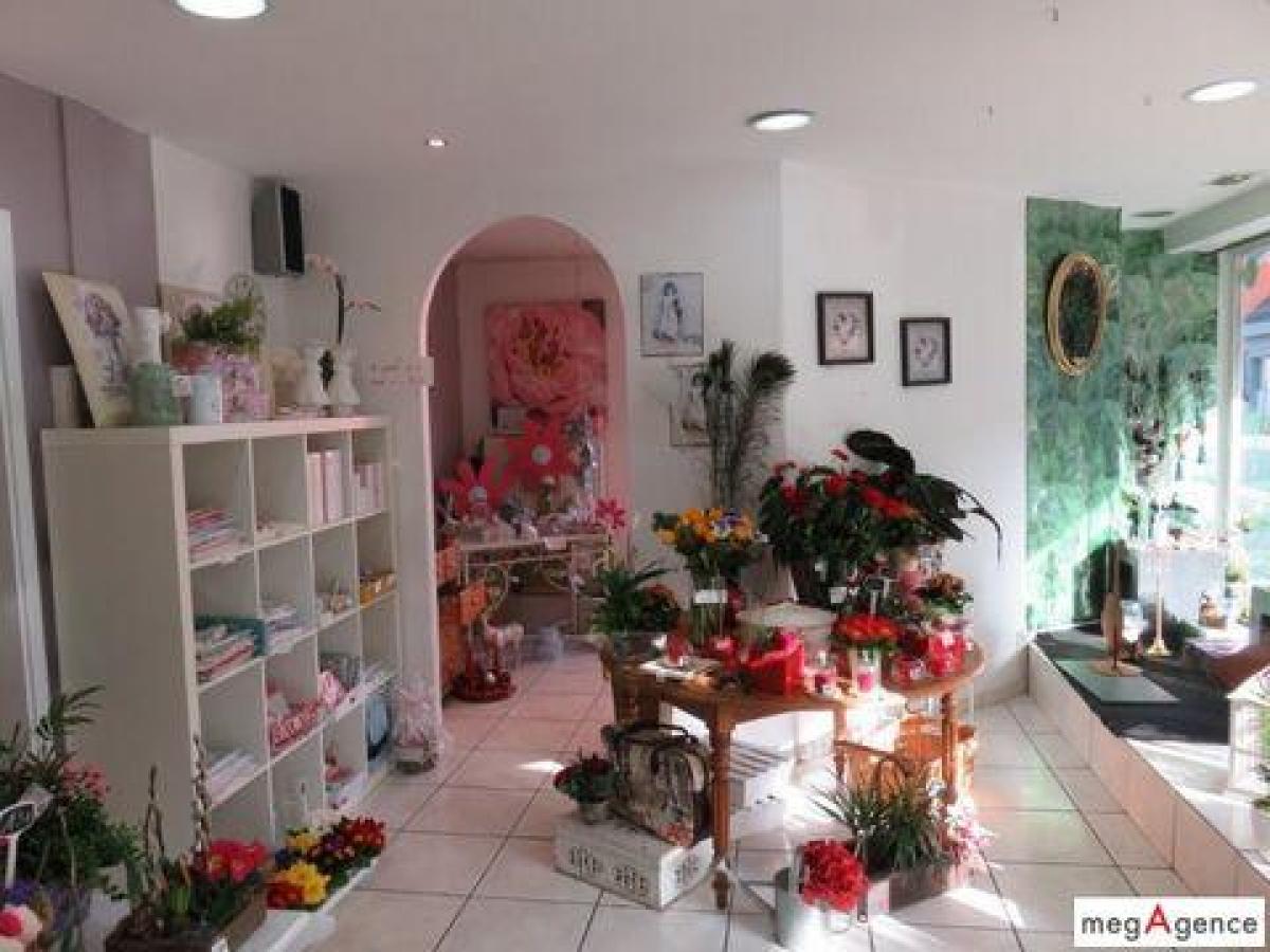 Oficina en Dannemarie, France 115 m² No. 17544