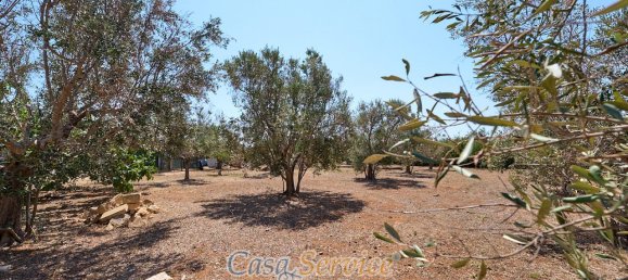 Villa de 5 habitaciónes en Racale, Italy No. 234907 10
