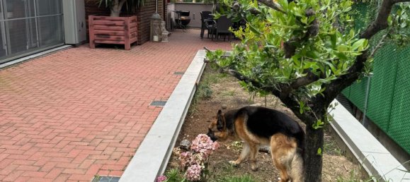 4 rooms Villa in Opera, Italy No. 63471 5