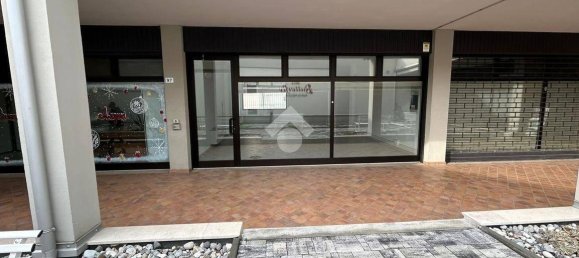 236m² Commercial property in Montichiari, Italy No. 142107 2