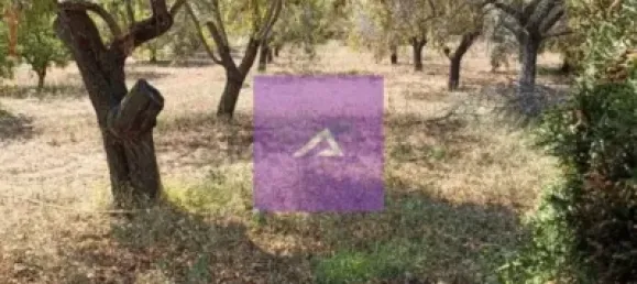 4 غرف نوم منزل في Valencia, Spain رقم 138194 32