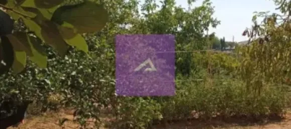 4 غرف نوم منزل في Valencia, Spain رقم 138194 31