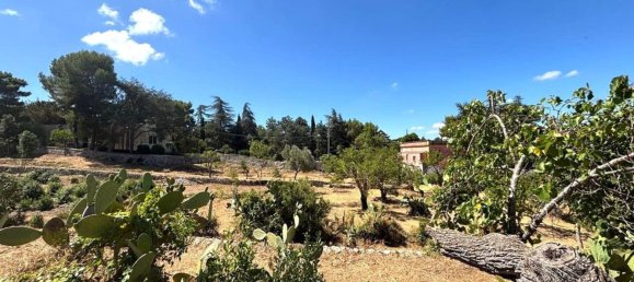 17 rooms Villa in Locorotondo, Italy No. 259832 42