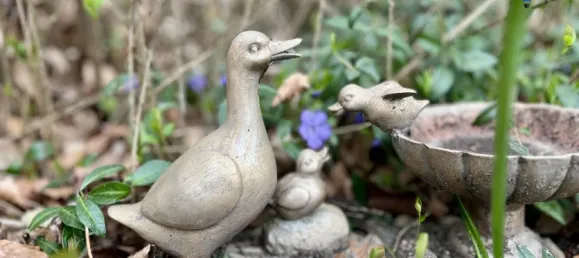 4 rooms House in Havelland, Germany No. 297225 2