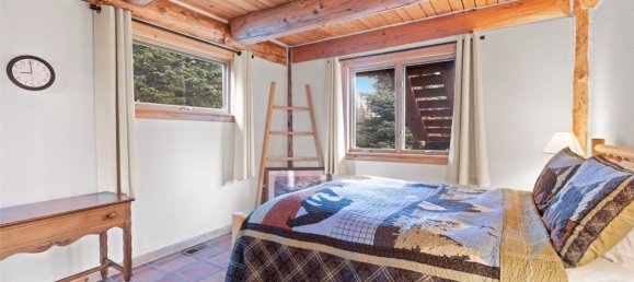 4 bedrooms Commercial property in Breckenridge, USA No. 251 3