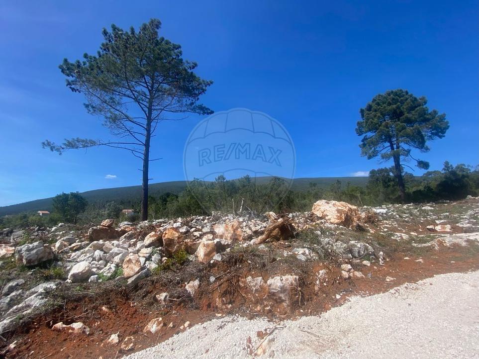 Grundstück in Torres Novas, Portugal 8080m², Nr. 315211