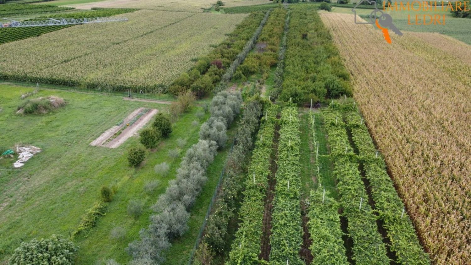 Grundstück in Sommacampagna, Italy, Nr. 343176