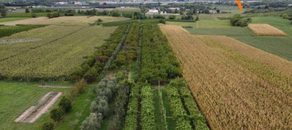 Grundstück in Sommacampagna, Italy, Nr. 343176 13