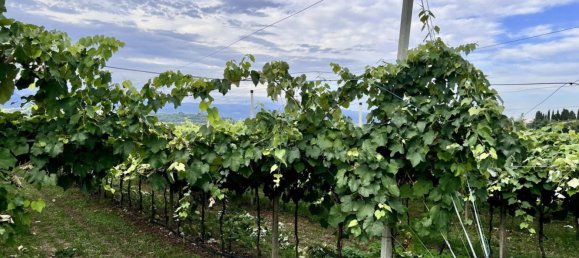 Grundstück in Sommacampagna, Italy, Nr. 343176 6