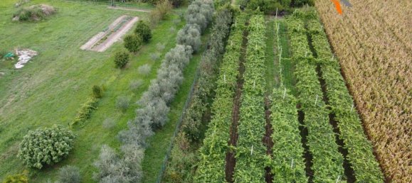 Grundstück in Sommacampagna, Italy, Nr. 343176 9