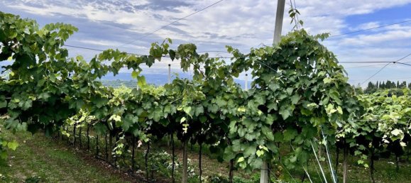 Grundstück in Sommacampagna, Italy, Nr. 343176 7