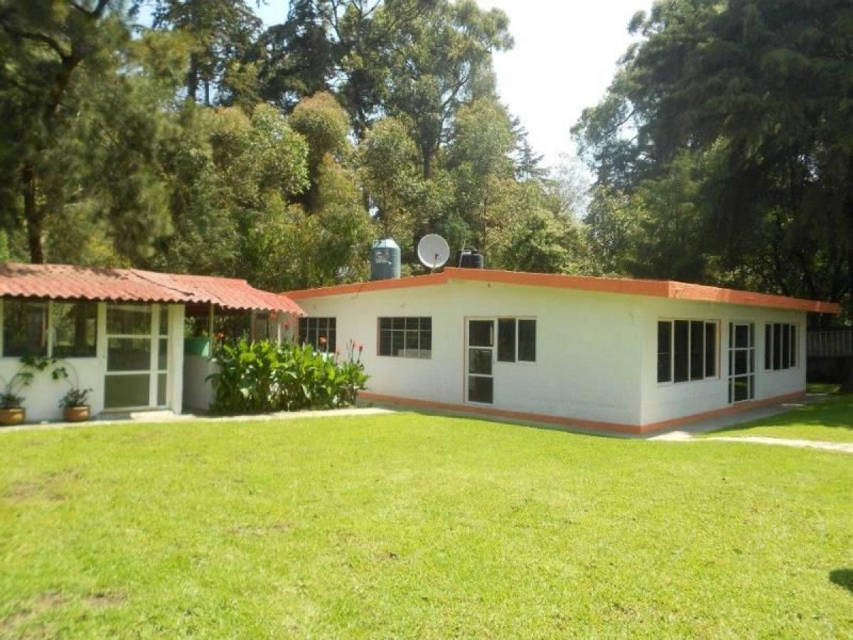 4 bedrooms House in Ciudad Lopez Mateos, Mexico No. 212780