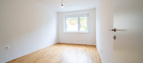 3 rooms Apartment in Wieselburg, Austria No. 58462 9