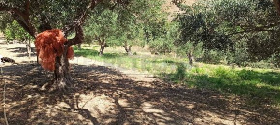 Дом с 2 комнатами в Мессина, Италия № 285985 22