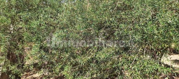 Дом с 2 комнатами в Мессина, Италия № 285985 5