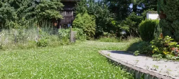 4 bedrooms House in Main-Taunus, Germany No. 307080 9