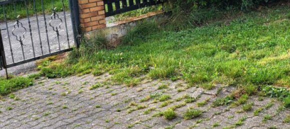 2 غرف نوم تاون هاوس في Rheingau-Taunus, Germany رقم 220631 15