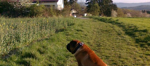 2 غرف نوم تاون هاوس في Rheingau-Taunus, Germany رقم 220631 10