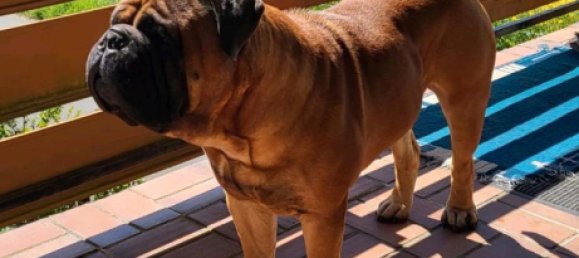 2 غرف نوم تاون هاوس في Rheingau-Taunus, Germany رقم 220631 12