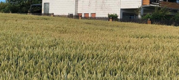 2 غرف نوم تاون هاوس في Rheingau-Taunus, Germany رقم 220631 3