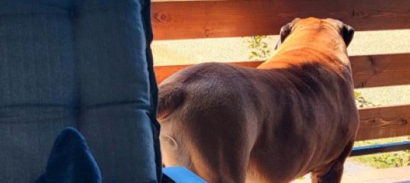 2 غرف نوم تاون هاوس في Rheingau-Taunus, Germany رقم 220631 20