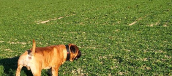 2 غرف نوم تاون هاوس في Rheingau-Taunus, Germany رقم 220631 7