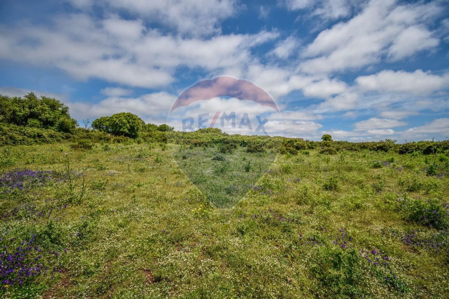  قطعة أرض في Sintra, Portugal 6240متر مربع رقم 63734