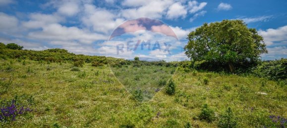  قطعة أرض في Sintra, Portugal 6240متر مربع رقم 63734 9