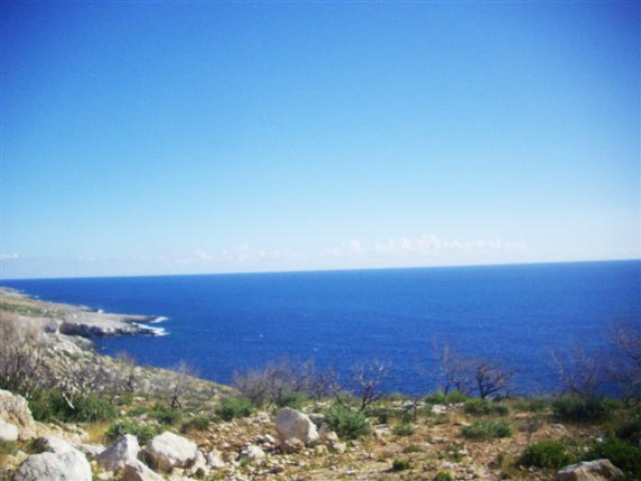 Grundstück in Zakynthos, Greece, Nr. 822