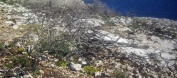 Grundstück in Zakynthos, Greece, Nr. 822 5