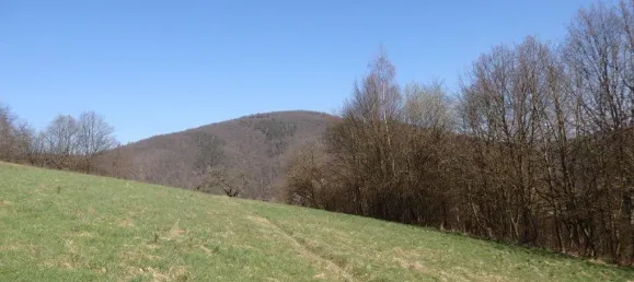 9 rooms House in Aschaffenburg, Germany No. 172008 7