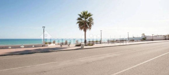  قطعة أرض في Grotteria, Italy 960متر مربع رقم 343596 5