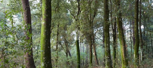 2240m² Land in Lentate sul Seveso, Italy No. 165333 7