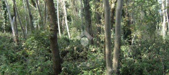 2240m² Land in Lentate sul Seveso, Italy No. 165333 12