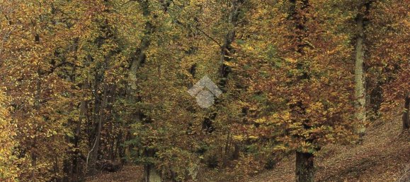 2240m² Land in Lentate sul Seveso, Italy No. 165333 3