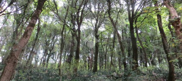 2240m² Land in Lentate sul Seveso, Italy No. 165333 6