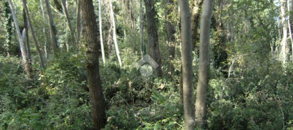 2240m² Land in Lentate sul Seveso, Italy No. 165333 5