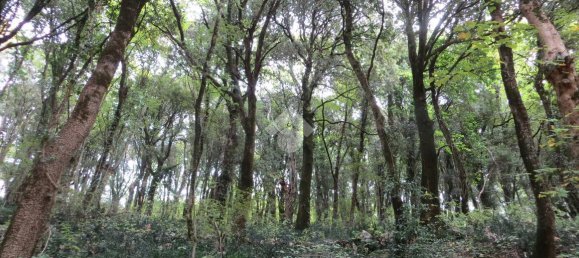 2240m² Land in Lentate sul Seveso, Italy No. 165333 11