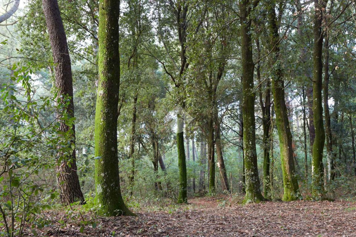 2240m² Land in Lentate sul Seveso, Italy No. 165333