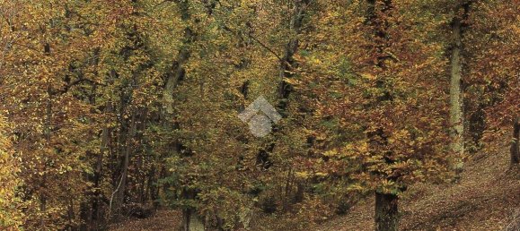 2240m² Land in Lentate sul Seveso, Italy No. 165333 8