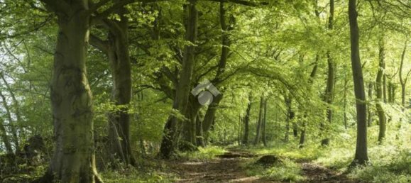 2240m² Land in Lentate sul Seveso, Italy No. 165333 4