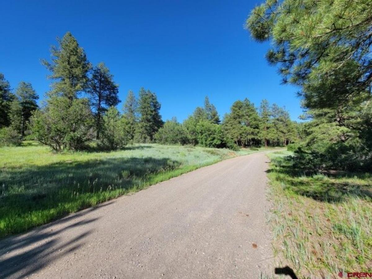  Land in Pagosa Springs, USA No. 510161