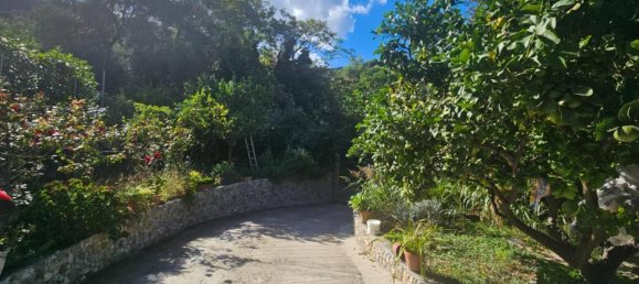 Дом с 4 комнатами в Вентимилья, Италия № 22414 20